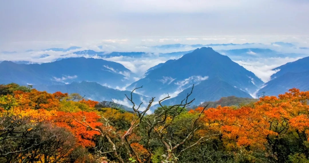 1689496033717534.jpg 景区2.jpg