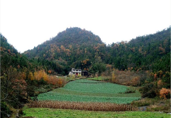 1497594277610693.jpg 20170616-6.jpg