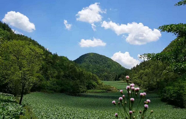 1497594309305812.jpg 20170616-3.jpg