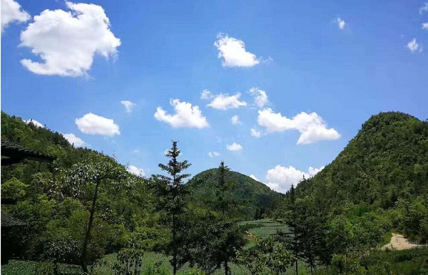 1497594347143553.jpg 20170616-2.jpg