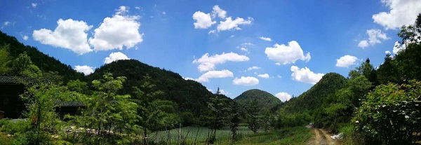 1497594802859954.jpg 20170616-1.jpg