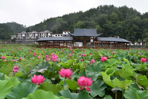 1497617315689502.jpg 20170616-9.jpg