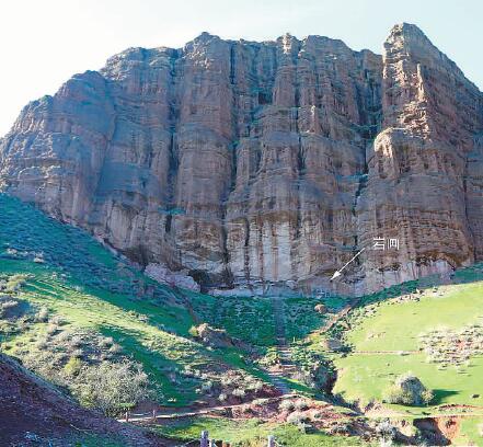 1502246097138012.jpg 17889946831284016654.jpg