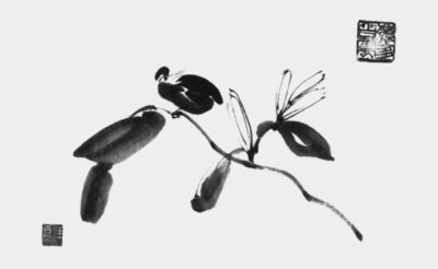 1502247405542424.jpg 4537746868940320227.jpg