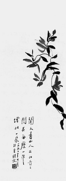 1502247656888995.jpg 12535190434383784044 (1).jpg